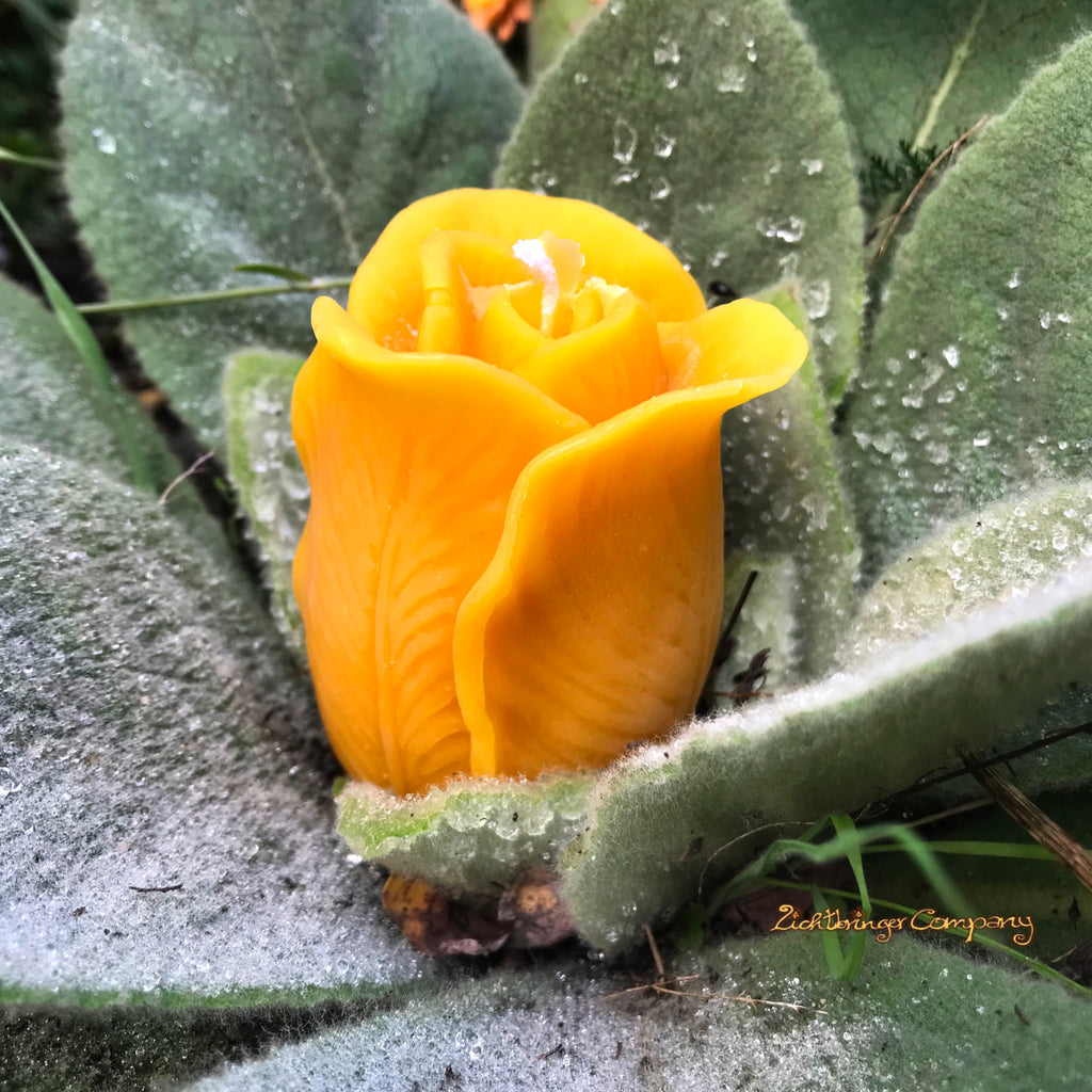 Rose Bloom made of Beeswax