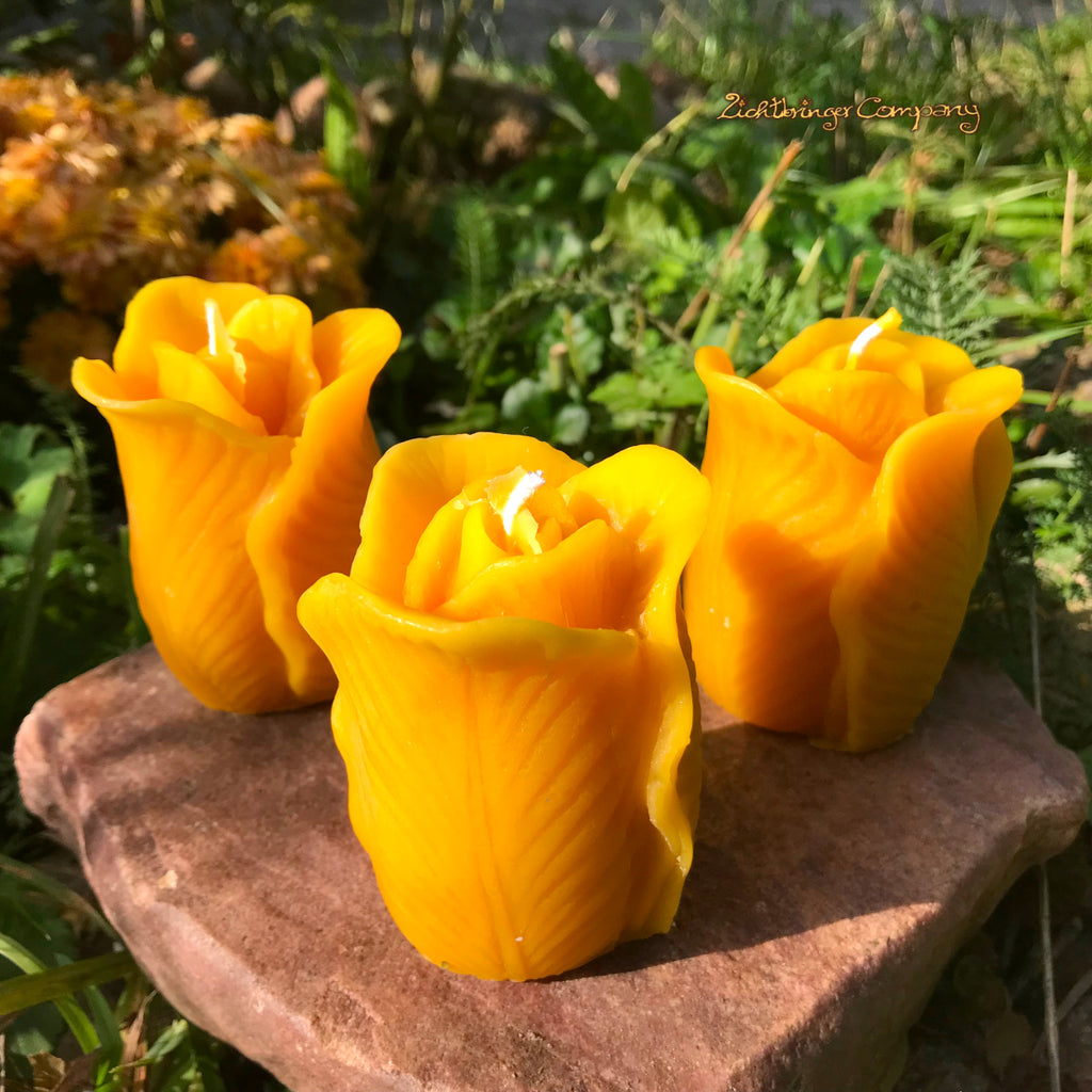 Rose Bloom made of Beeswax