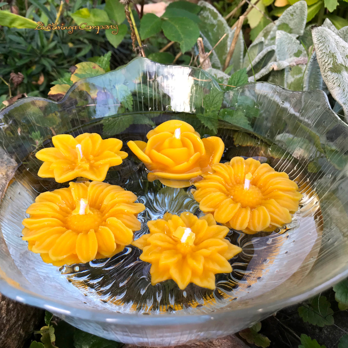 Schwimmkerzen aus Bienenwachs zum Beispiel in der Wasserschale 