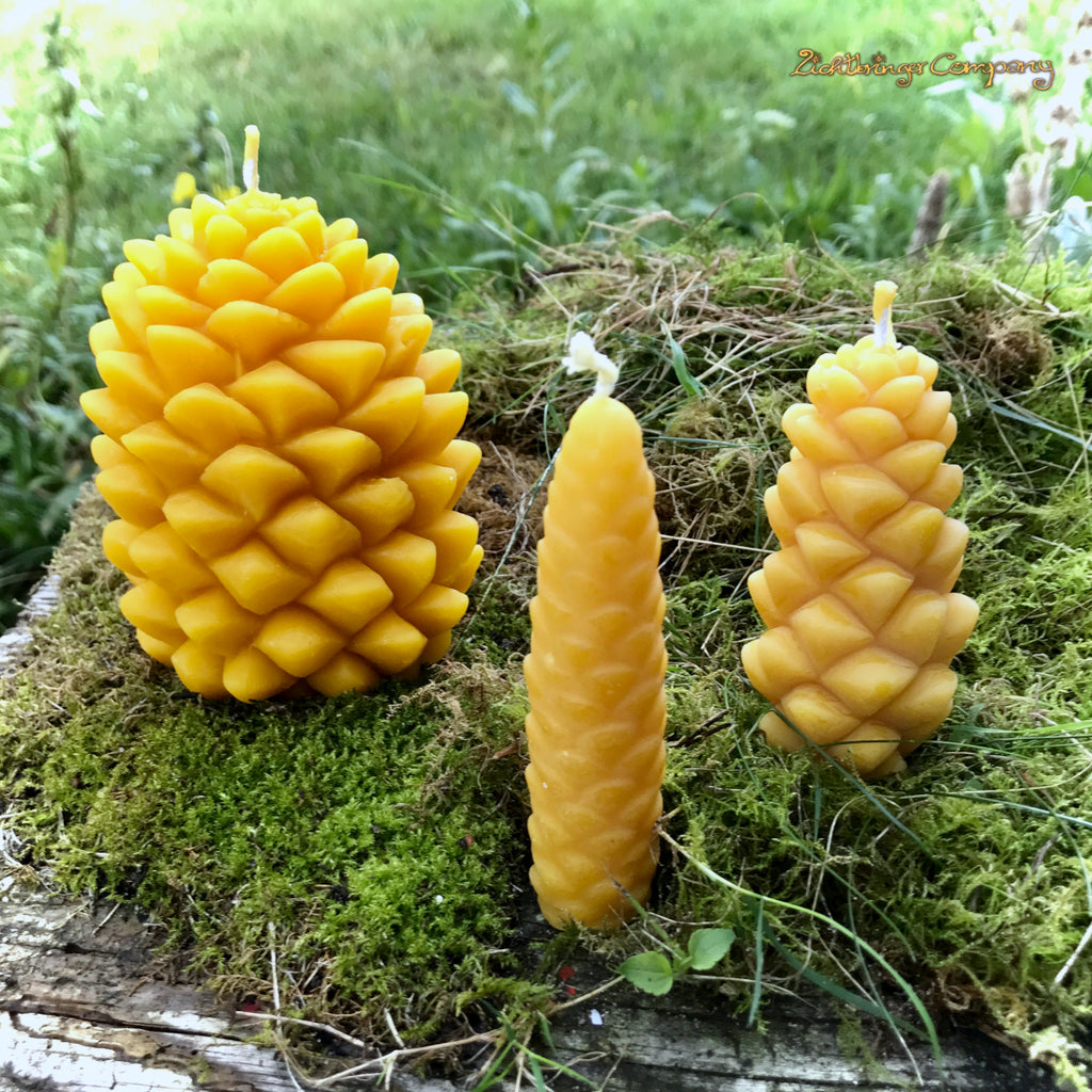 Kiefernzapfenkerze groß aus Bienenwachs