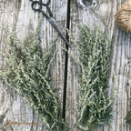 Mugwort Smudge Stick