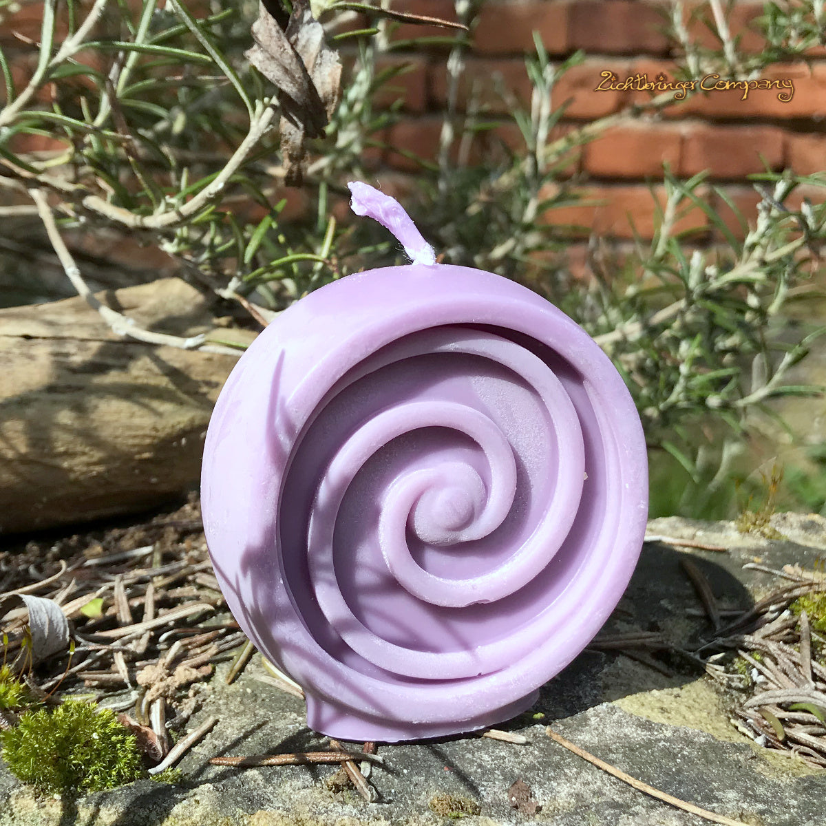 Spirale Ritualkerze aus Pflanzenwachs Farbe lila