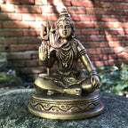 Shiva Mahayogi - Height 10 cm, 500 grams