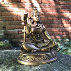 Shiva Mahayogi - Height 10 cm, 500 grams