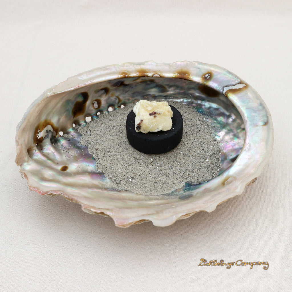 Grande coquille d'ormeau Paua