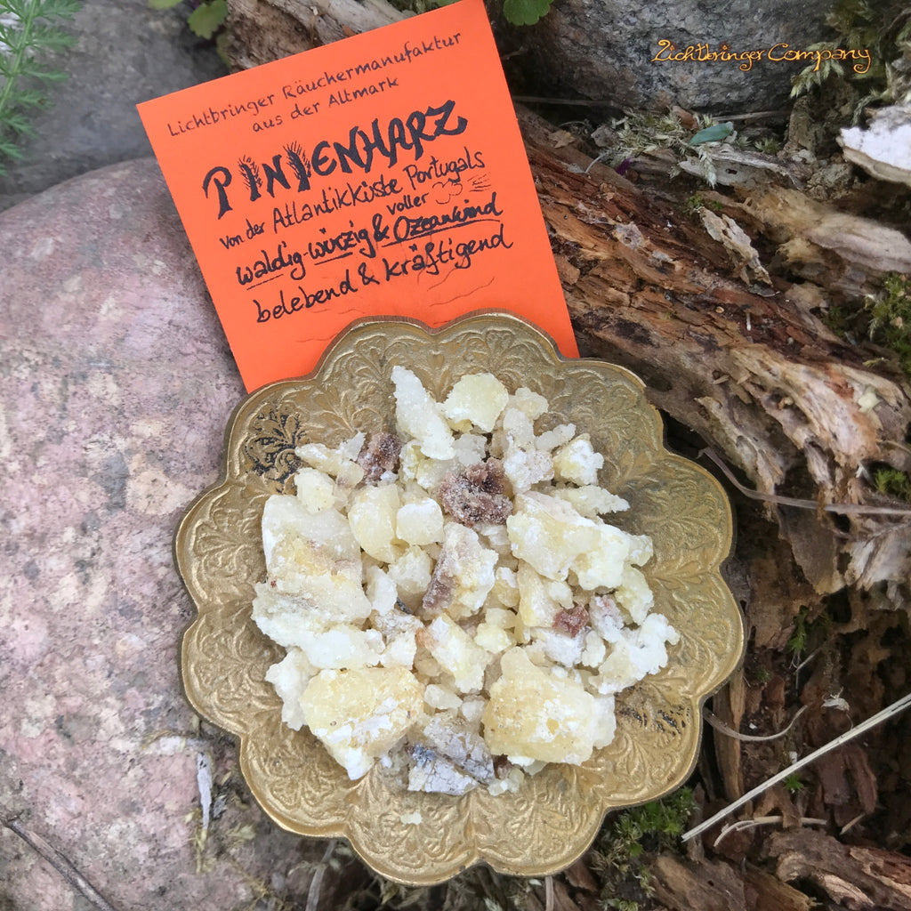 Pinienharz aus Portugal naturbelassenes Räucherharz von der Atlantik-Küste.