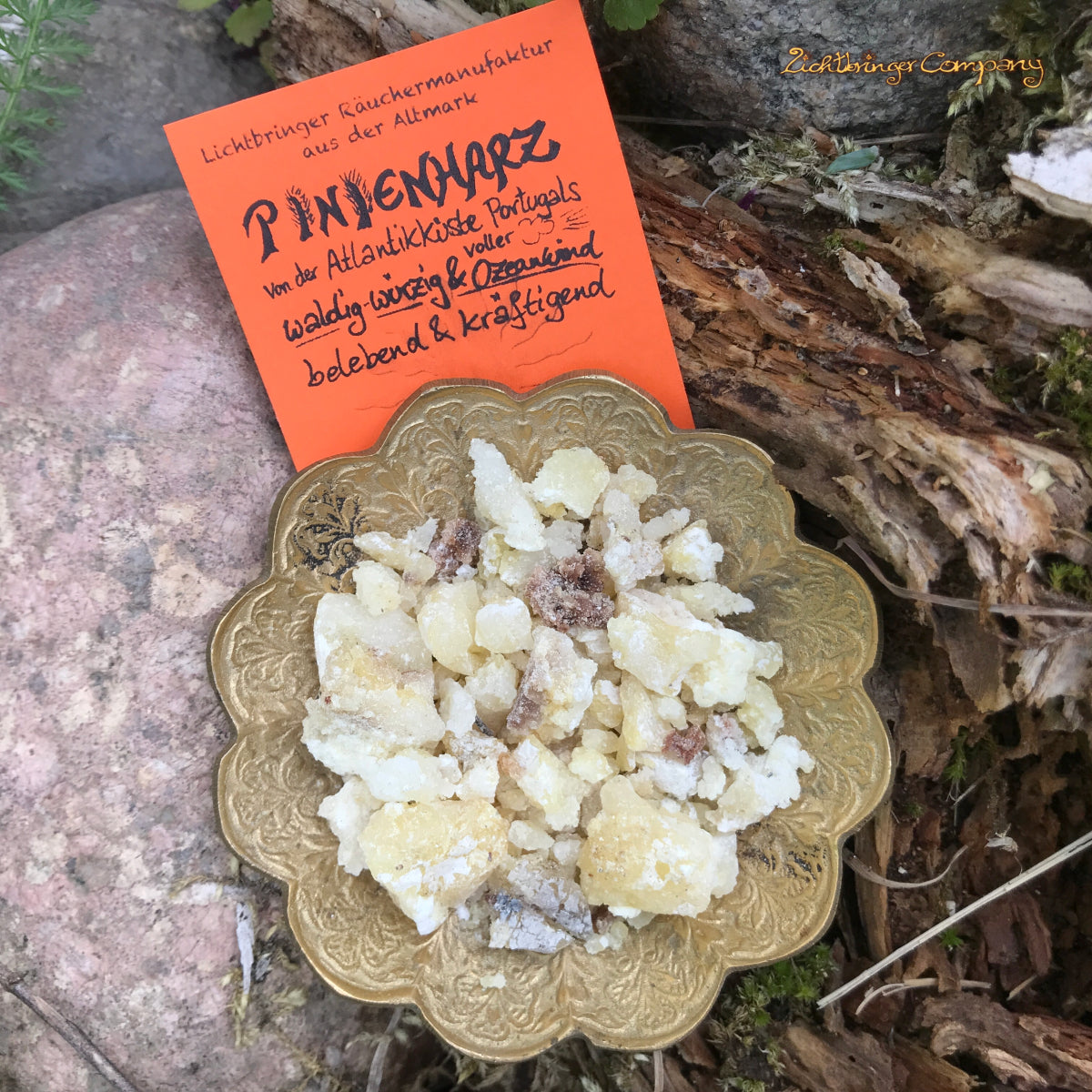 Pinienharz aus Portugal naturbelassenes Räucherharz von der Atlantik-Küste.