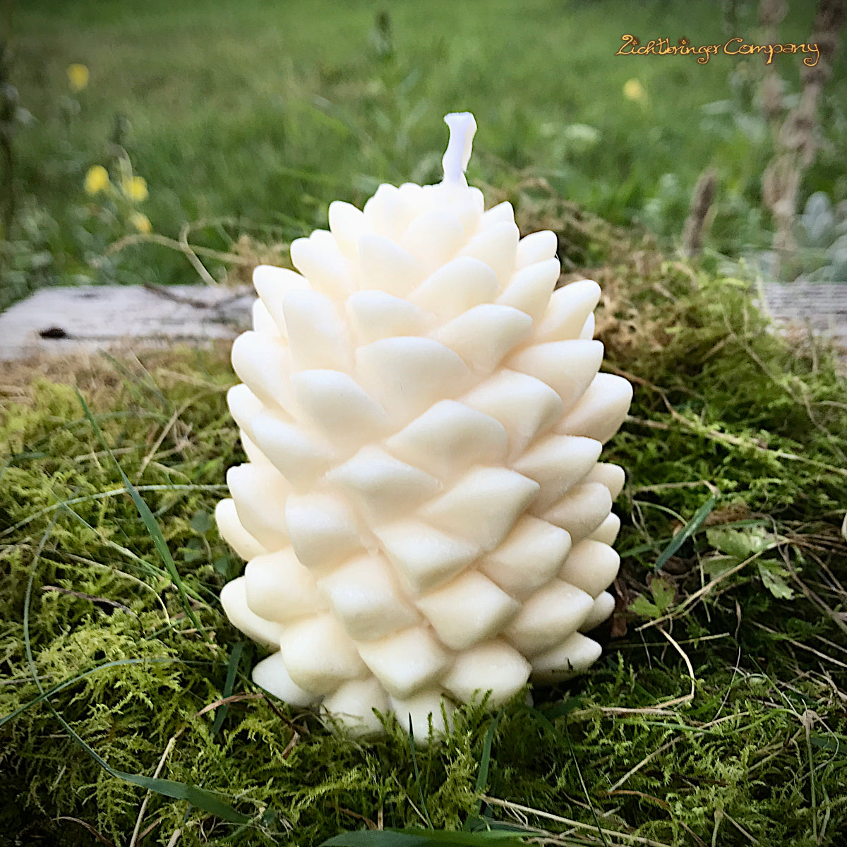 Rapswachs-Kerze in Form eines großen Kiefernzapfens – naturweiß, Höhe ca. 10,5 cm, Durchmesser 6,5 cm, handgefertigt von Lichtbringer Company