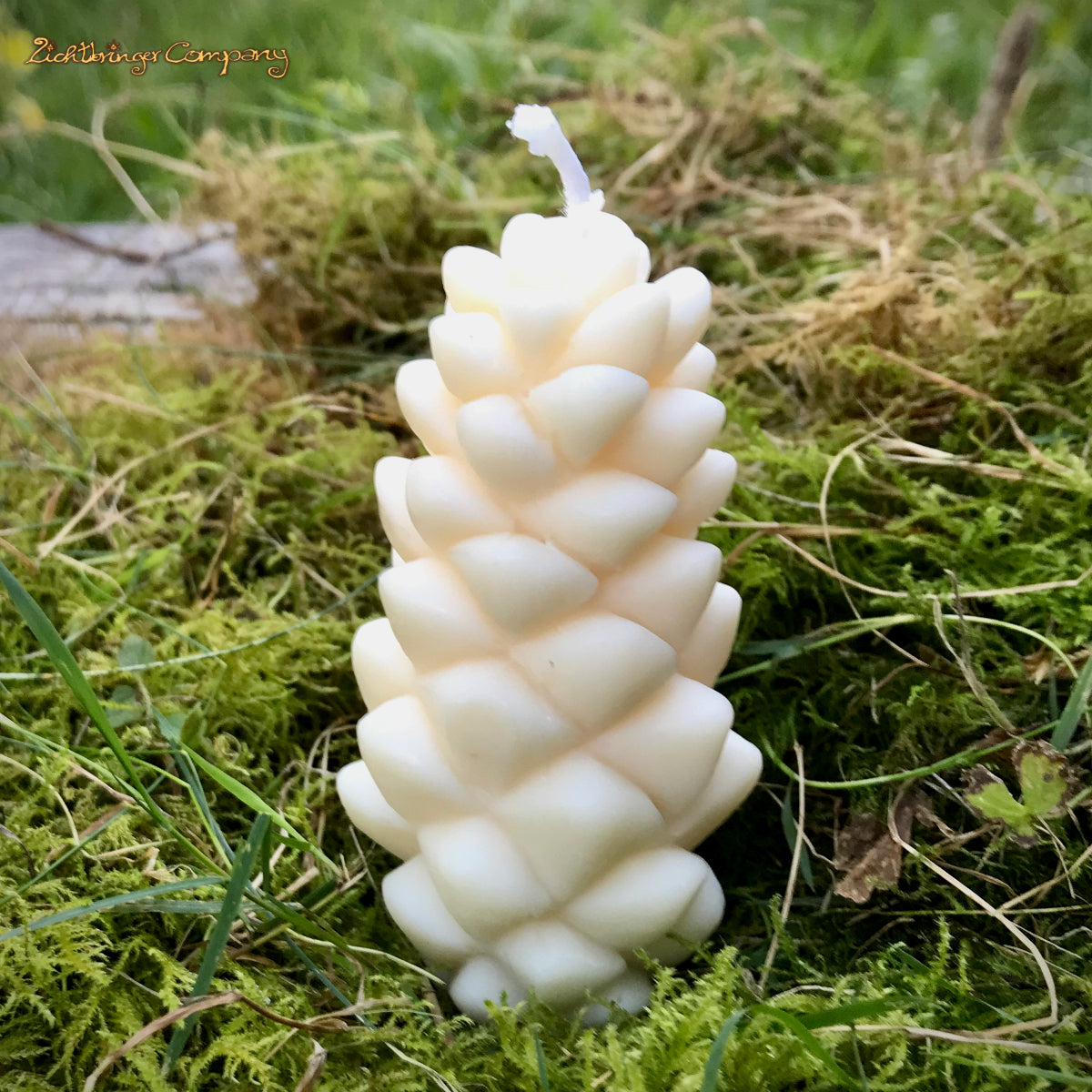 Rapswachs-Kerze in Form eines kleinen Kiefernzapfens – naturweiß, Höhe ca. 9 cm, handgefertigt von Lichtbringer Company