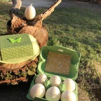 Rapswachs-Kerzeneier im Upcycling-Karton mit Osterdekoration – Lichtbringer Company