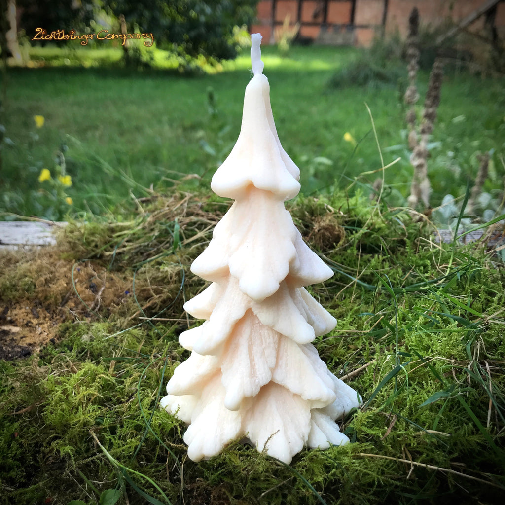 Rapswachs-Tannenbaumkerze natur – naturweiß, Höhe ca. 14,5 cm, handgefertigt von Lichtbringer Company