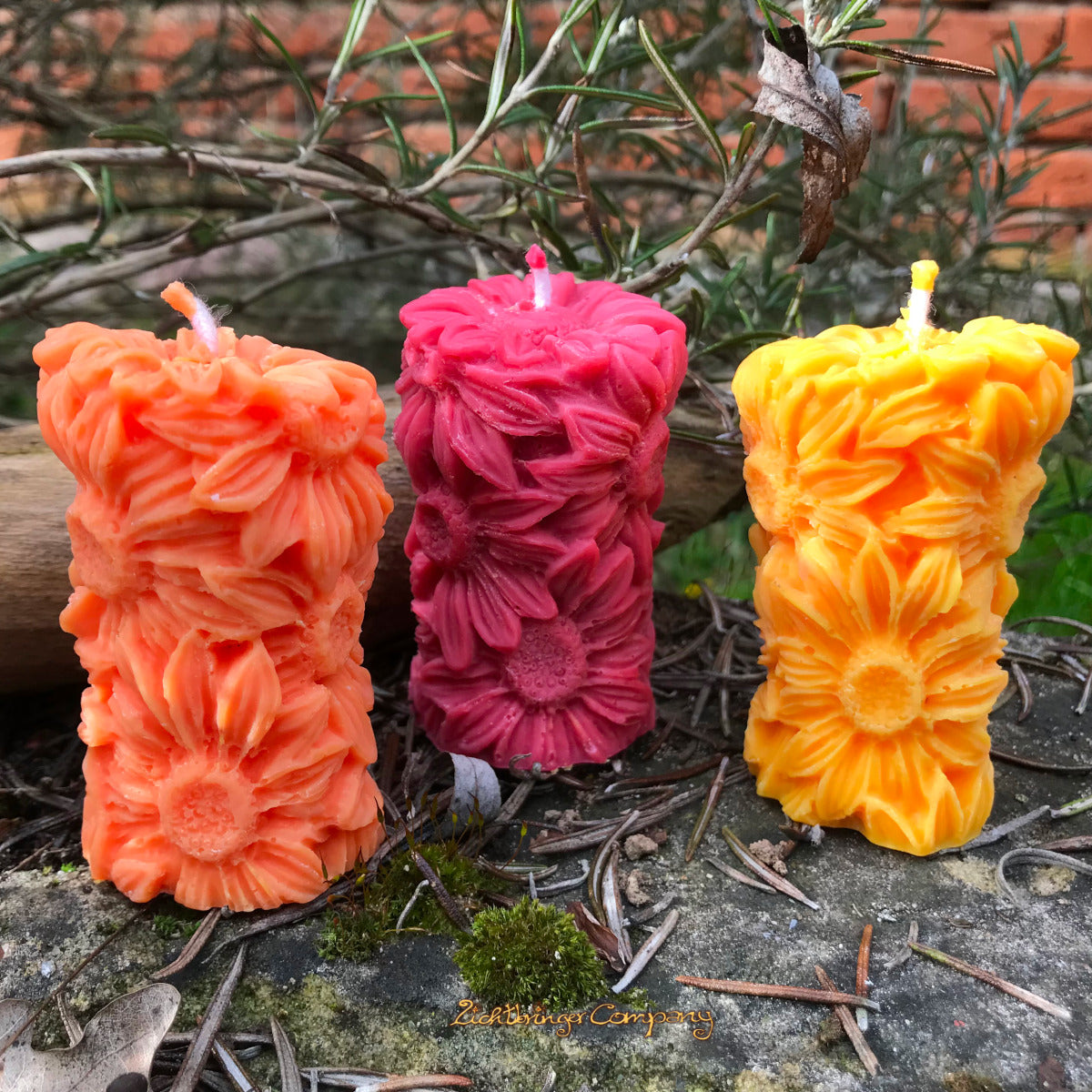 Rapswachs-Stumpenkerzen Marguerite in Gelb, Orange und Rot – Detailansicht der Blütenform, handgegossen von Lichtbringer Company
