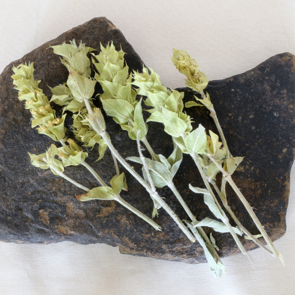 Griechischer Bergtee naturbelassen – loser Kräutertee mit feinem Duft für aromatische Teemomente