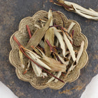 Zistrosenblätter - Labdanum-Blätter