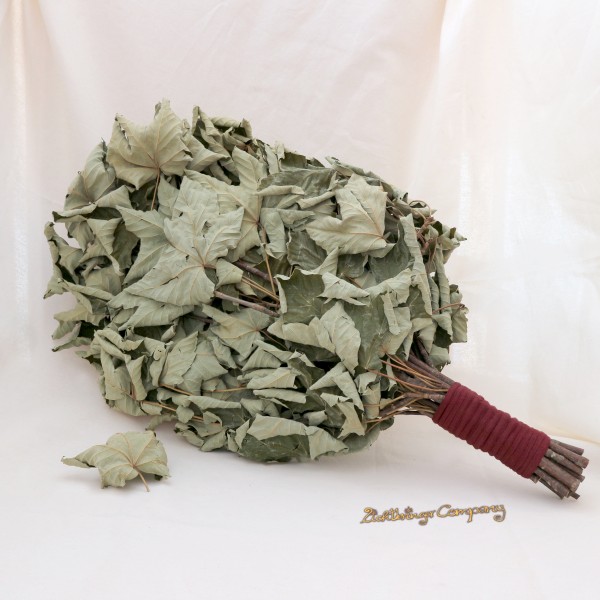Blätterrassel - Chacapa Ahorn