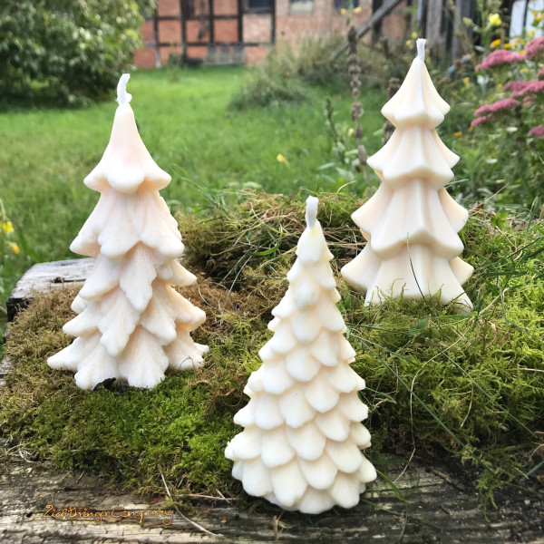 Tannenbaumkerzen aus Rapswachs in 3 Formen, naturweiß