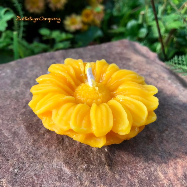 Margarite Schwimmkerze aus Bienenwachs 